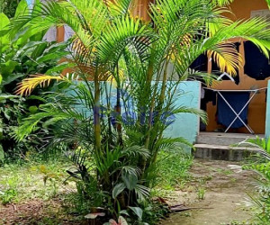 Casa em RUDGE RAMOS - SO BERNARDO DO CAMPO por 700.000,00